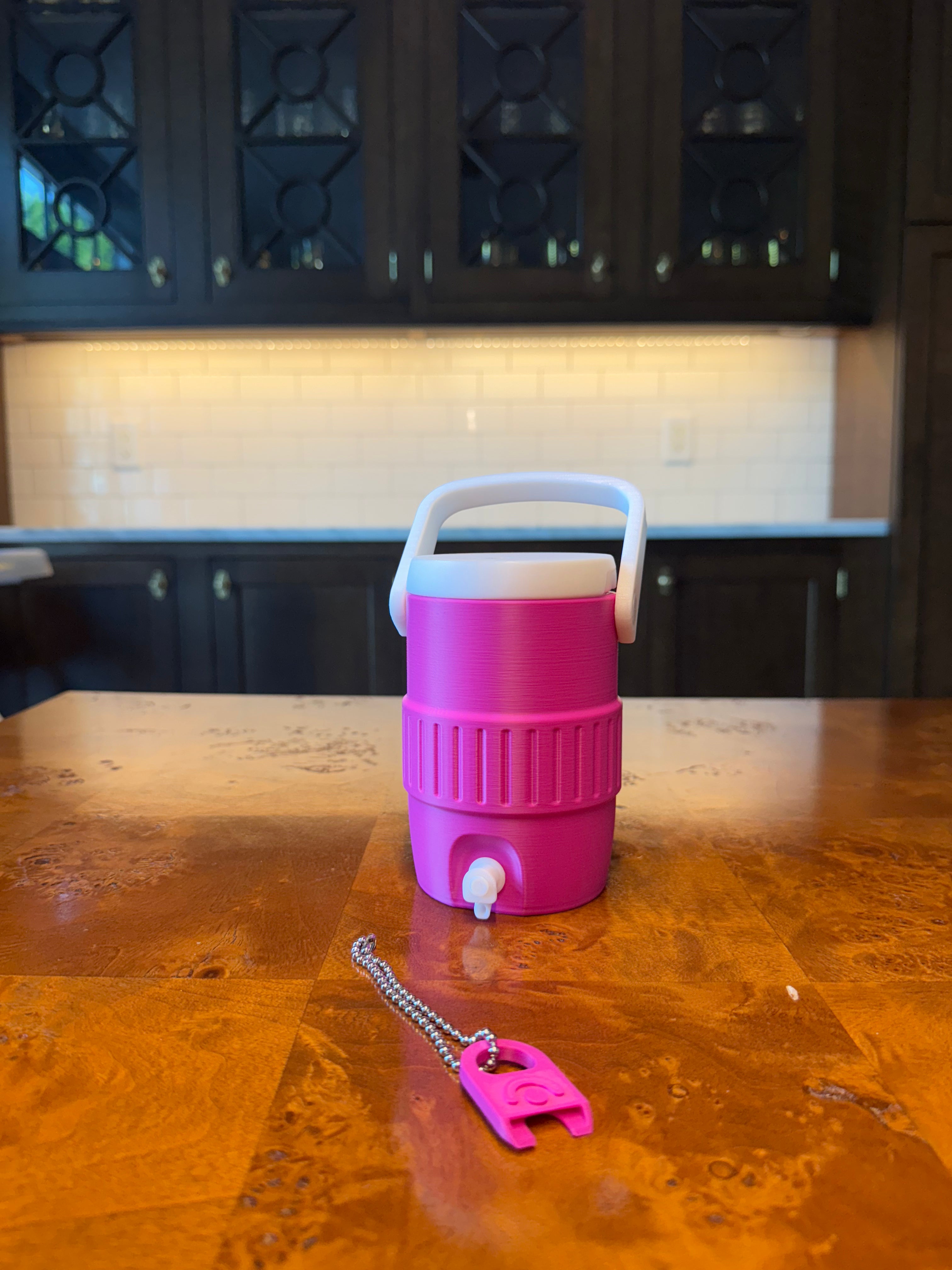 Viral Sports Cooler Can Holder | 12oz Can Koozie
