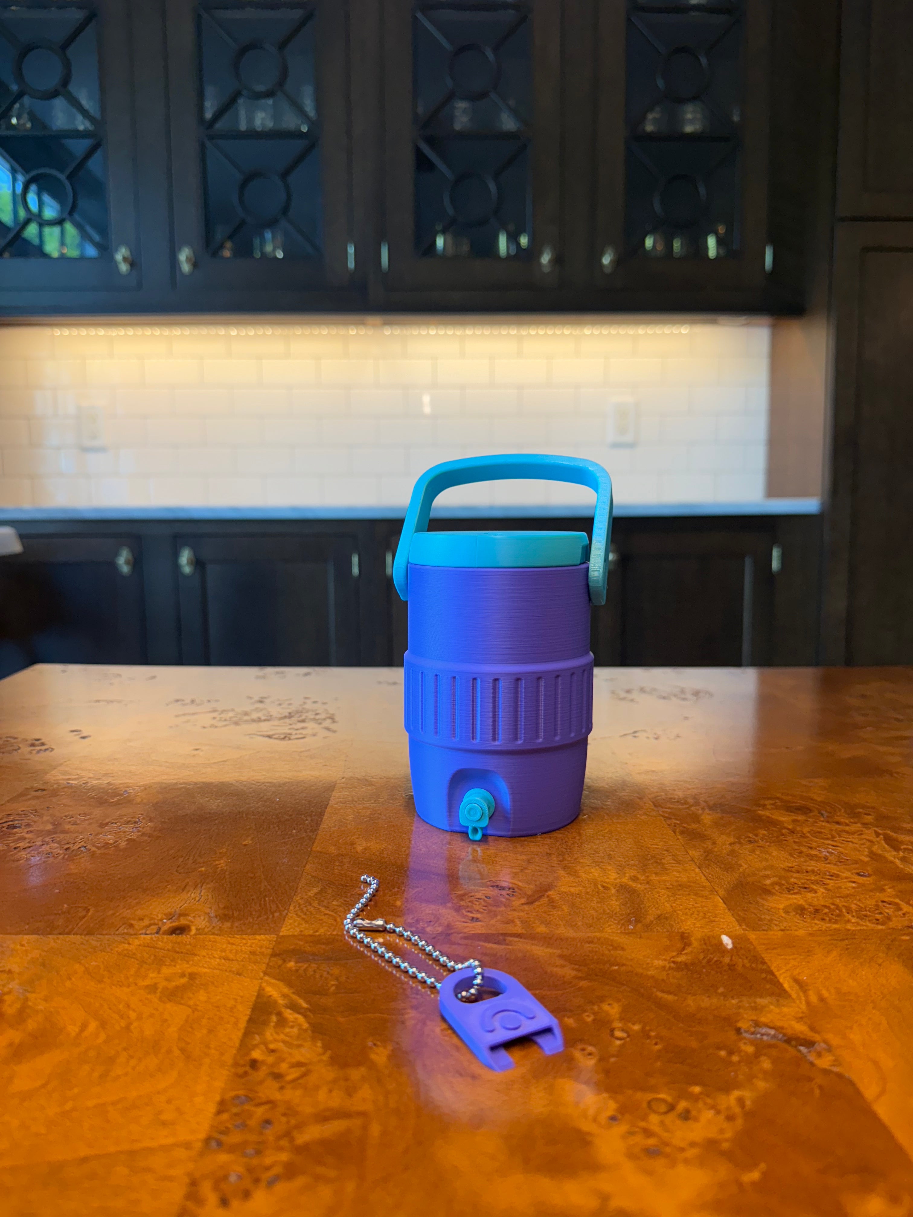 Viral Sports Cooler Can Holder | 12oz Can Koozie