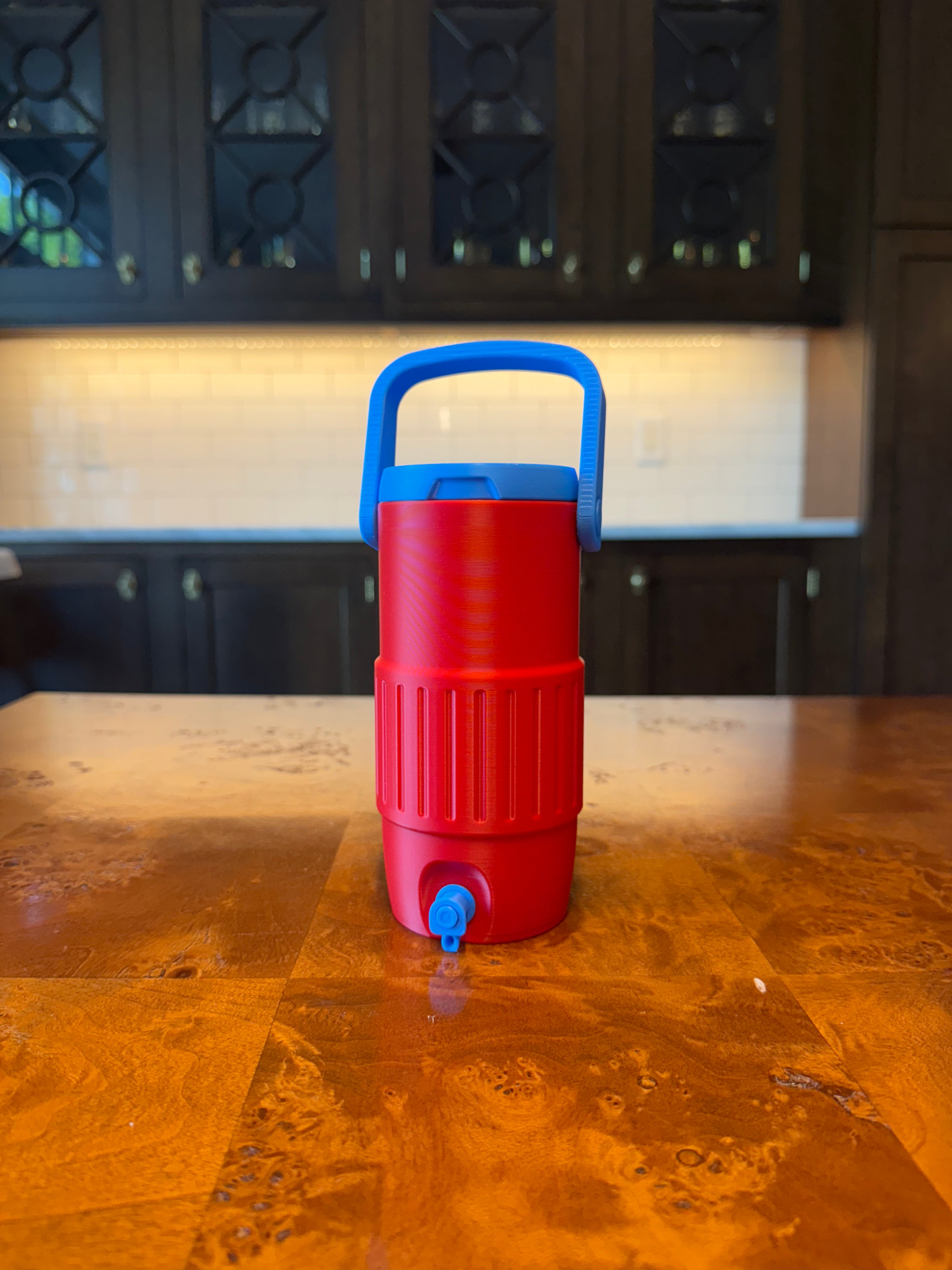 Viral Sports Cooler Can Holder | 12oz Can Koozie